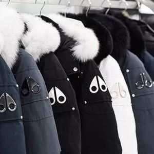 加拿大鹅街头被抢,加拿大鹅10天被抢七次