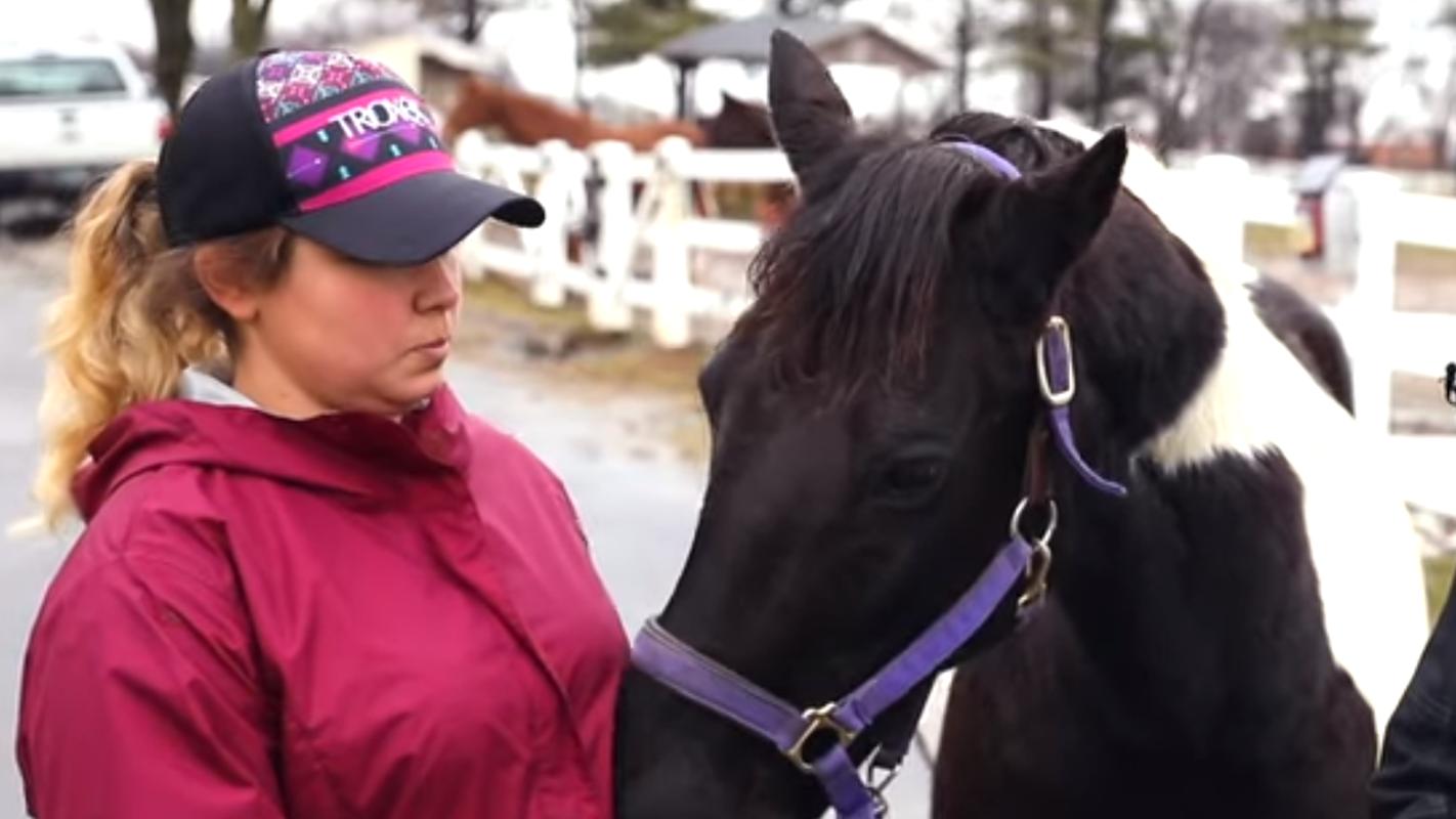 美国男子3度侵犯马匹被重判10年,美国男子侵犯男童被警察击毙