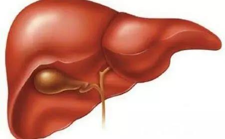 乙肝病毒携带者哪些人容易自愈,乙肝病毒携带者最后都是肝癌吗