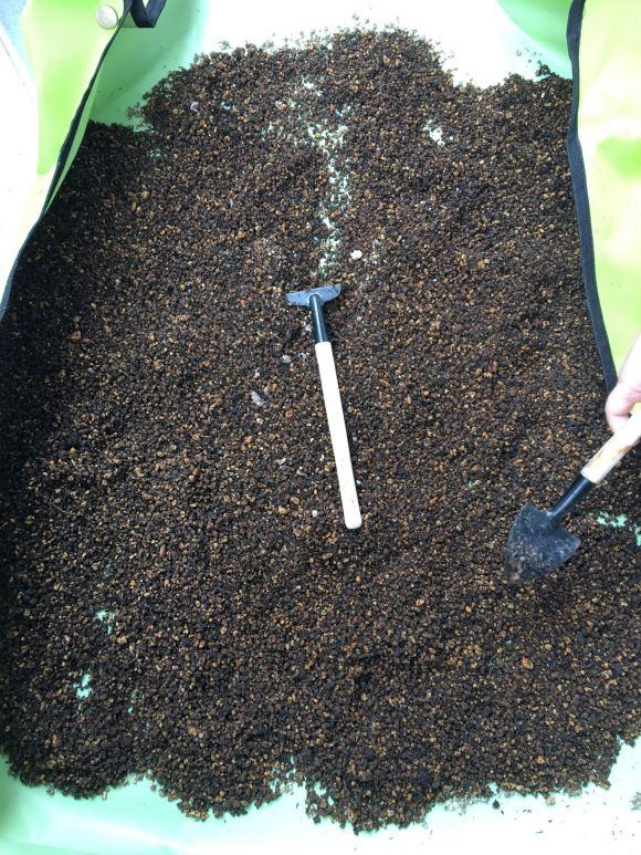 养花就怕土壤带菌！该怎么解决隐患？学会这3招，方便又实用