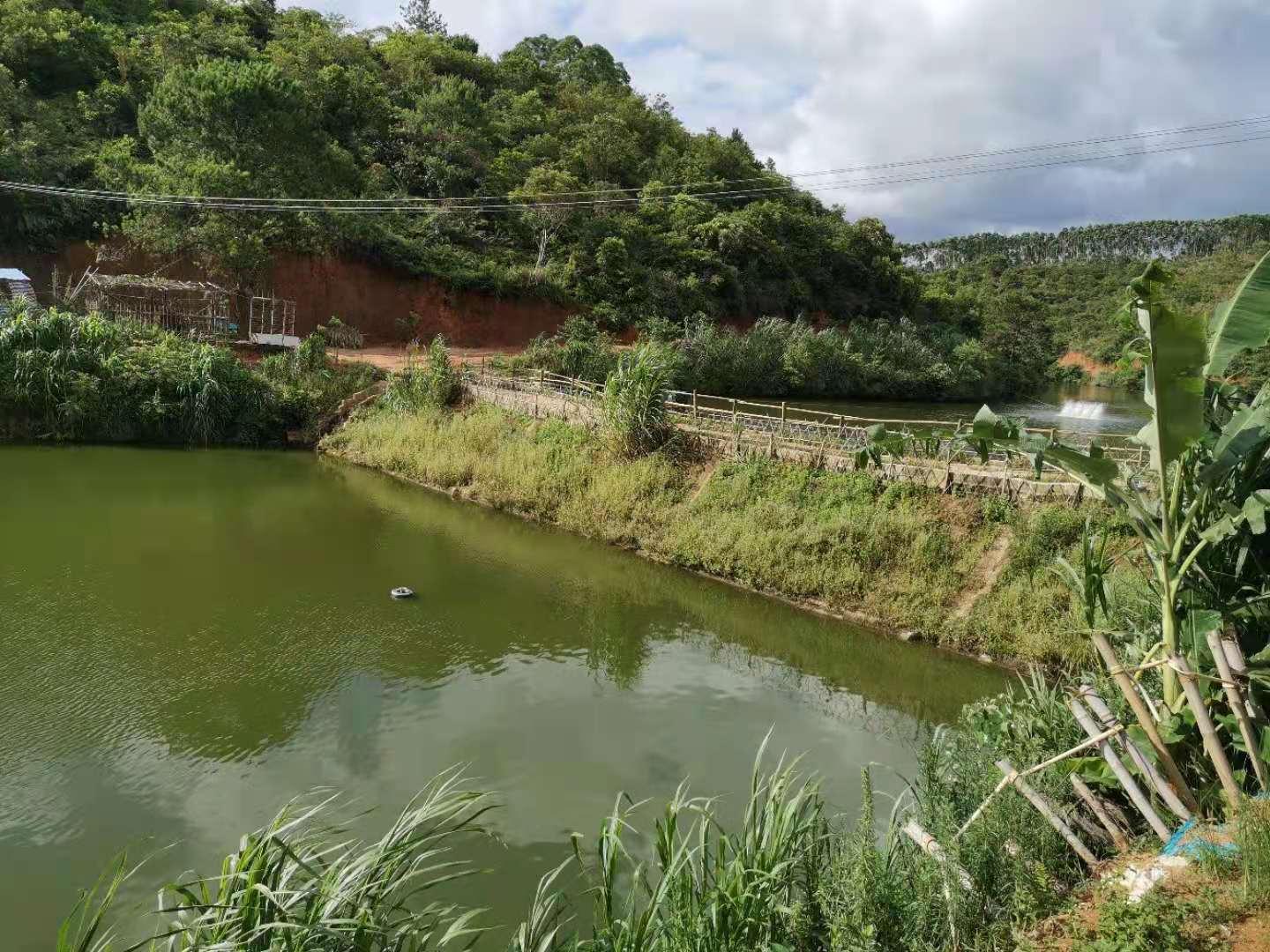 养殖的淡水鱼出现烂身烂鳃后死亡，请收好，做到这几点提高存活率