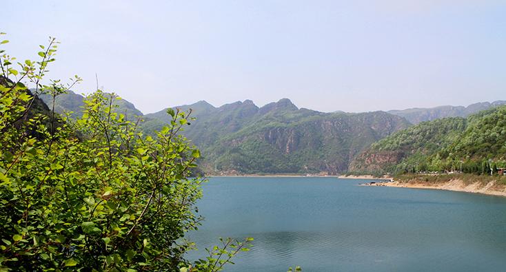 山东奶白桃,山东奶白脆苹果