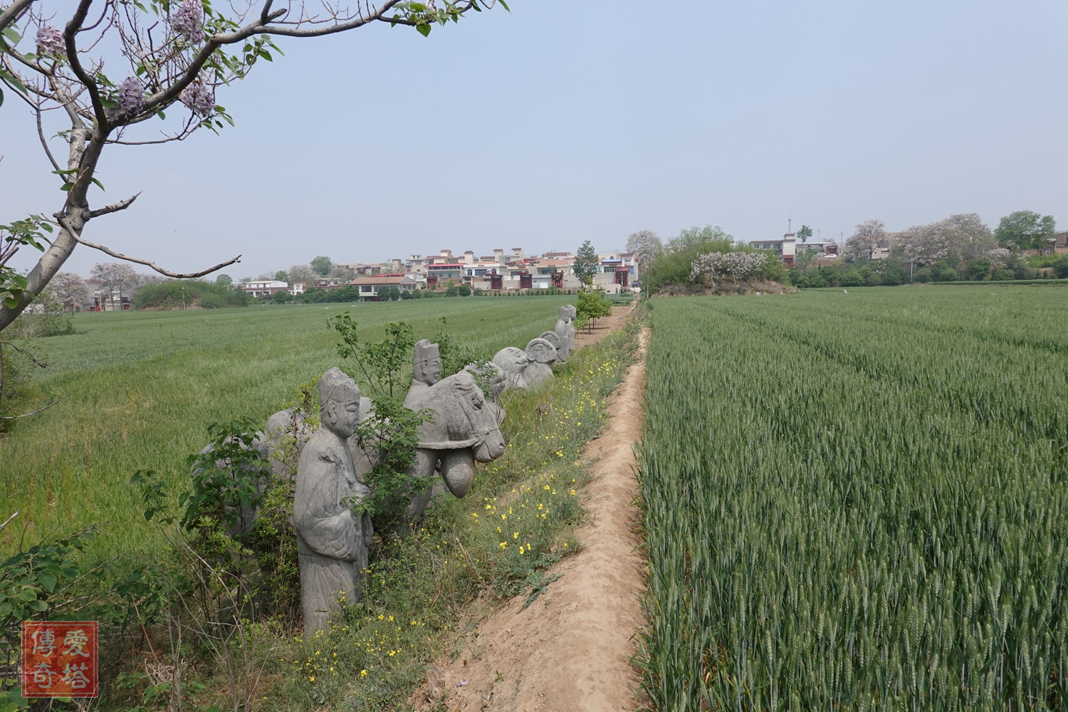 2020年经典电视剧有哪些,2020年将要播出的电视剧有哪些