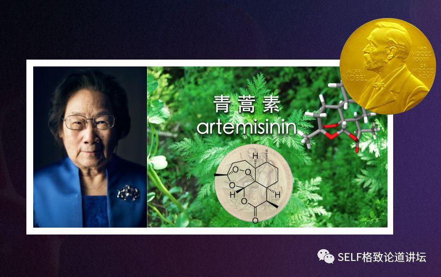 诺贝尔奖中的有机化学,为什么诺贝尔化学奖很少