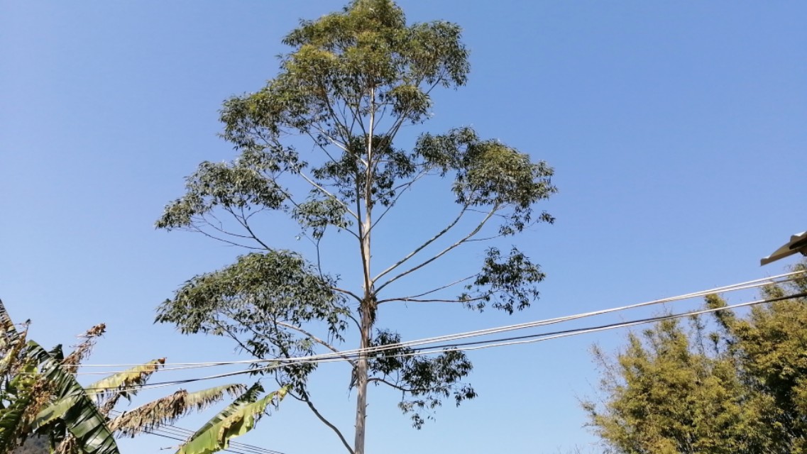 疫情隔离7天后的感受,疫情隔离14天就没事了吧