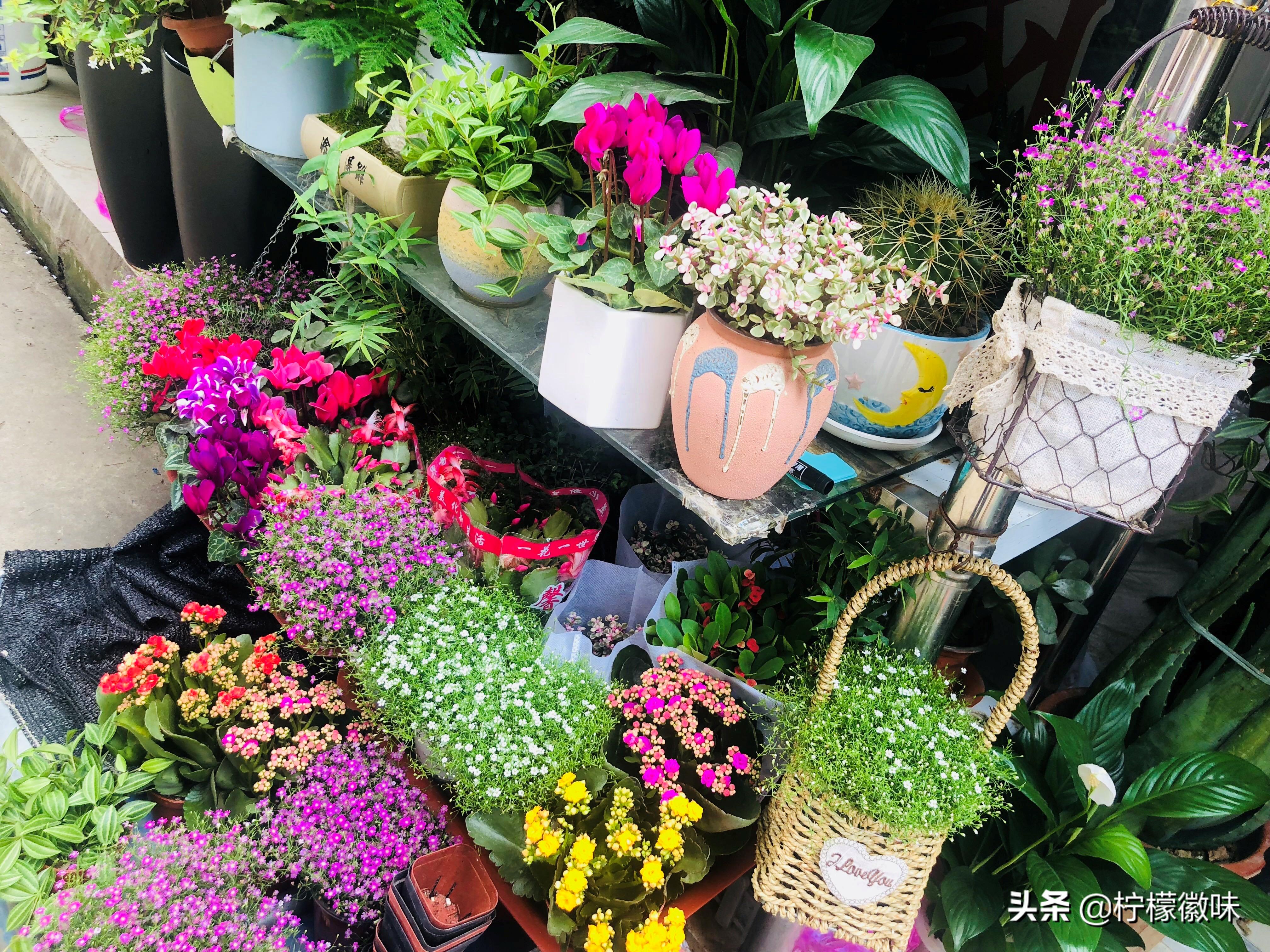 <html>
<head><title>502BadGateway</title></head>
<body>
<center><h1>502BadGateway</h1></center>
<hr><center>nginx</center>
</body>
</html>
<!--apaddingtodisableMSIEandChromefriendlyerrorpage-->
<!--apaddingtodisableMSIEandChromefriendlyerrorpage-->
<!--apaddingtodisableMSIEandChromefriendlyerrorpage-->
<!--apaddingtodisableMSIEandChromefriendlyerrorpage-->
<!--apaddingtodisableMSIEandChromefriendlyerrorpage-->
<!--apaddingtodisableMSIEandChromefriendlyerrorpage-->
