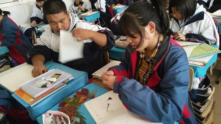 育才中学美丽校园,阜新市育才中学照片