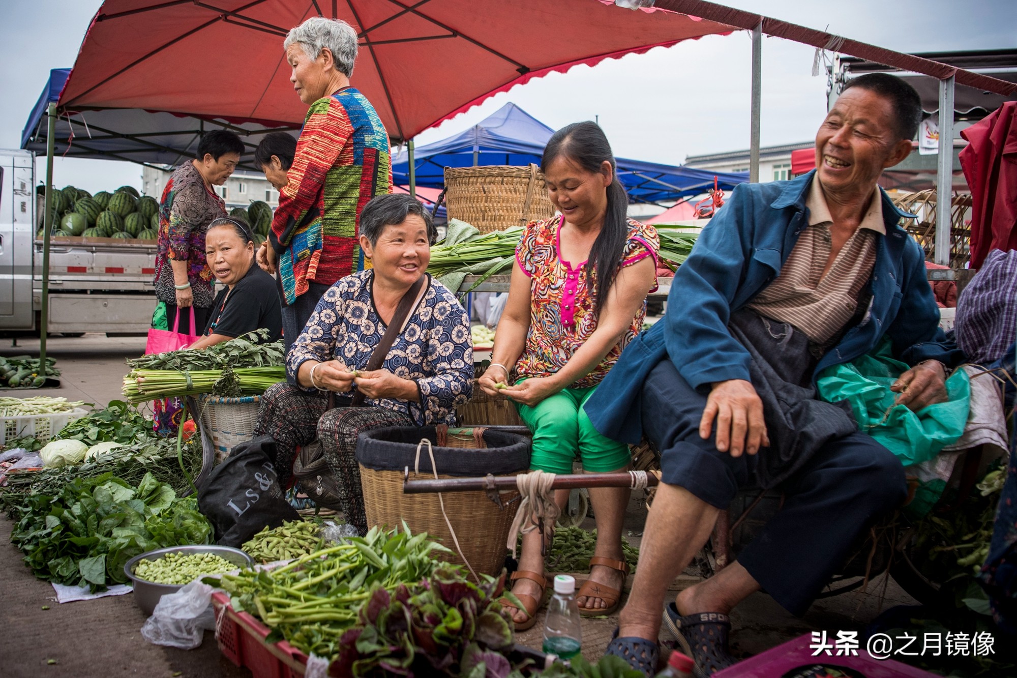 天府新区太平枇杷,成都太平枇杷批发市场
