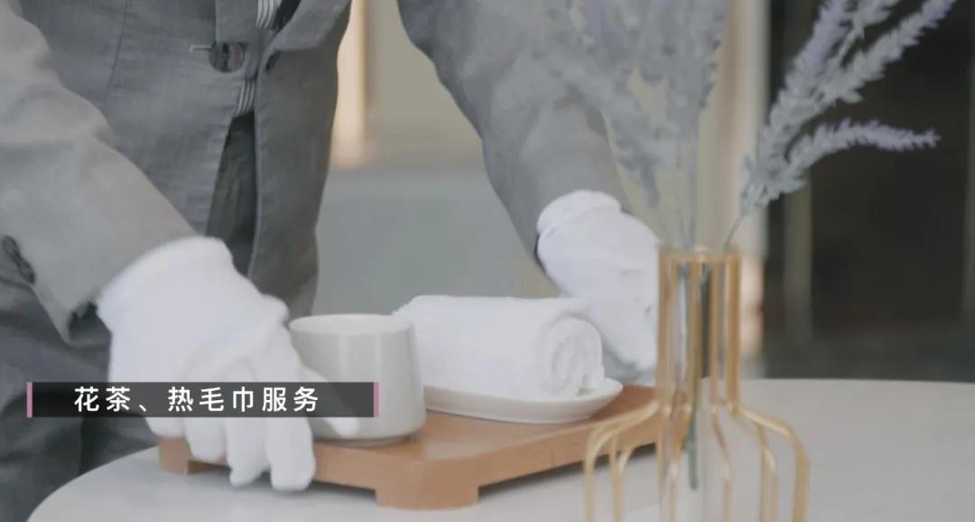 一文看懂光学深度解析,丽枫的含义是什么