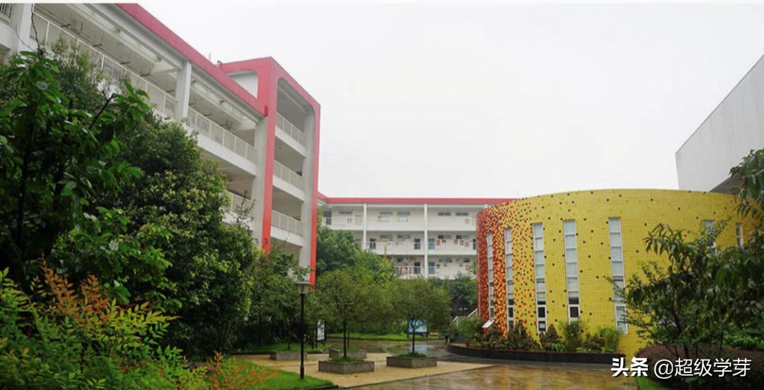 金牛区教育不咋行，老牌名校已没落？幼儿园到高中怎么选？