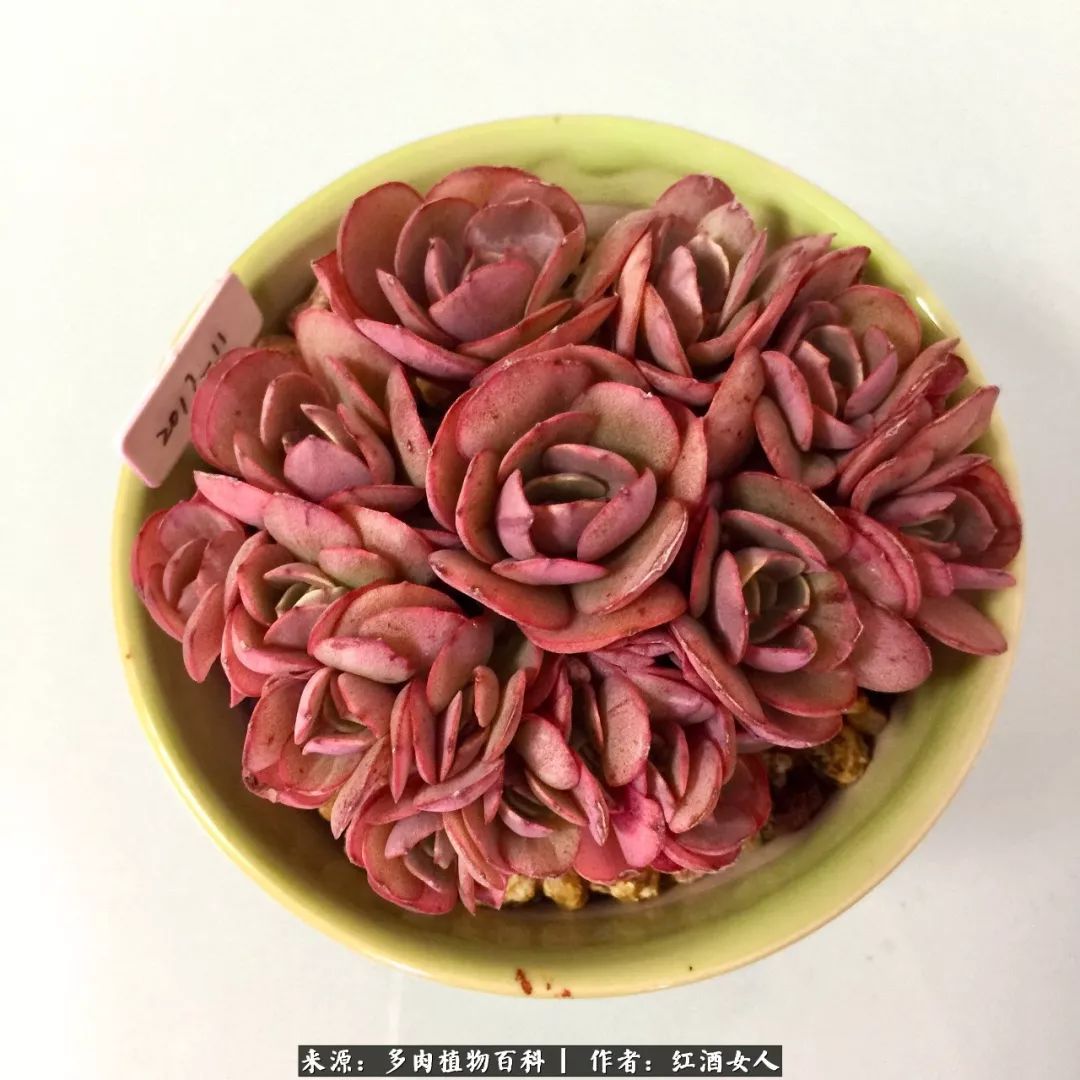 记录走过的美景留下美好的回忆,记录走过的每一段美好时光