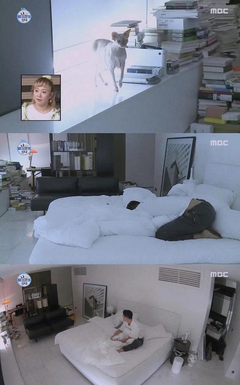 韩星刘亚仁58亿豪宅,韩星刘亚仁