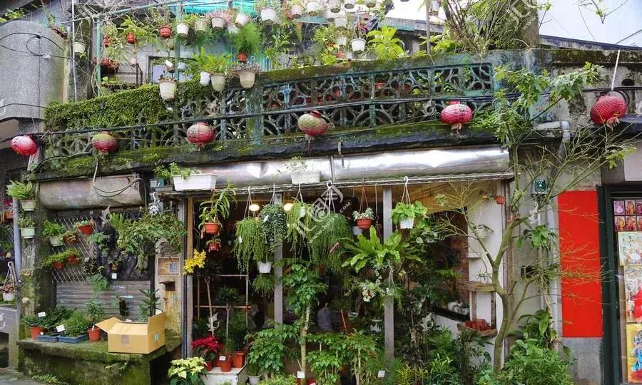 新手开花店怎样入门,怎么快速学开花店