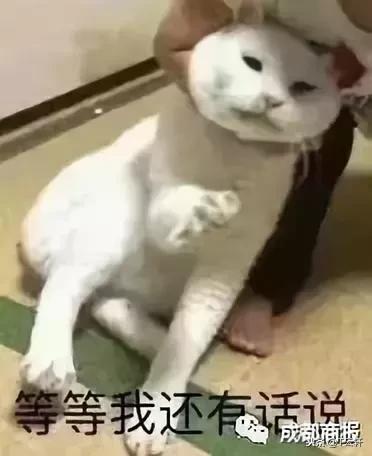 双十一破100亿京东2019,100分钟破千亿的纪录