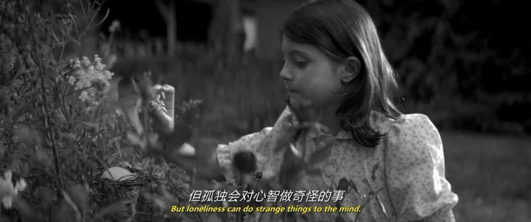 2019纭洏鎺ㄨ崘,2019纭洏鎺ㄨ崘1t