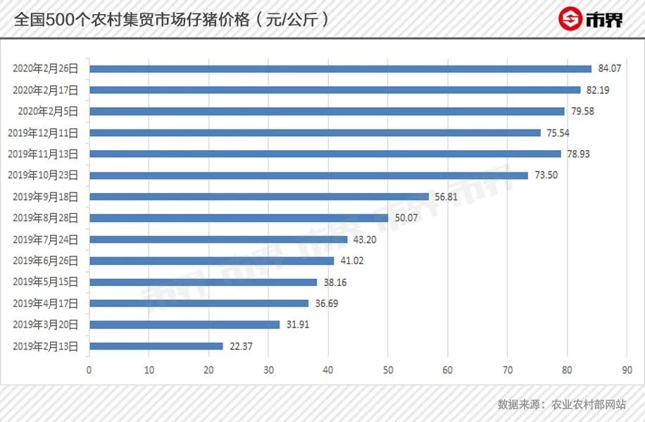 仔猪养殖2800元,一头仔猪800元