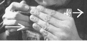 复音口琴入门教程完全攻略