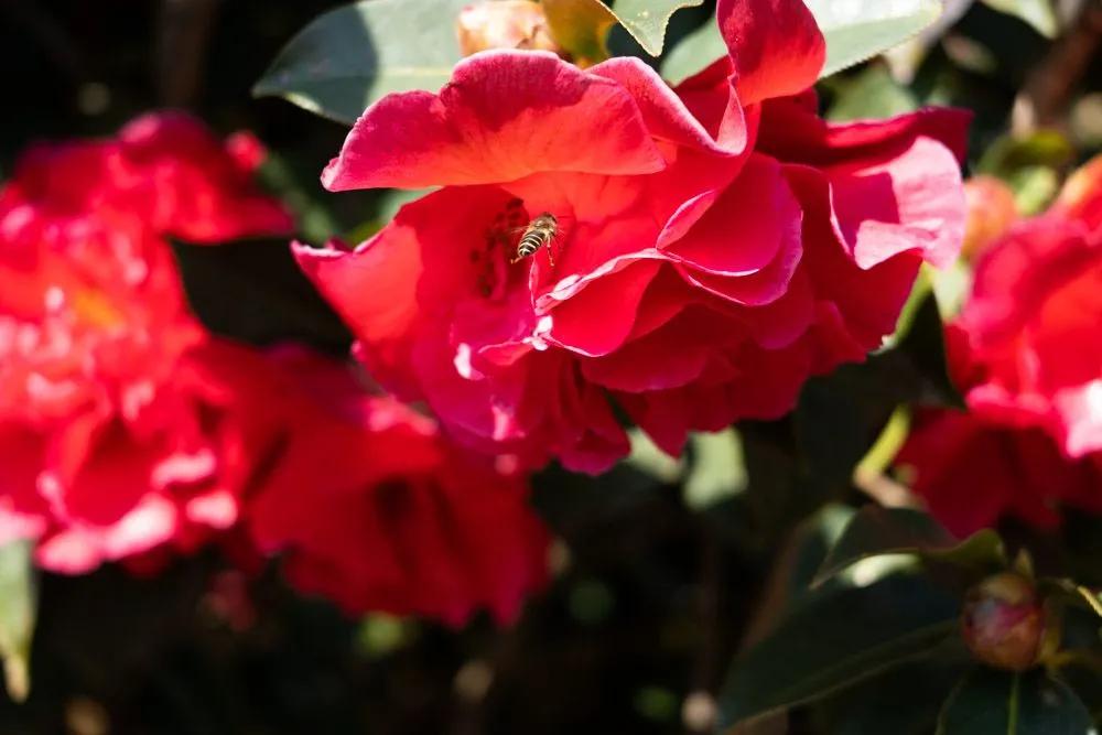 瞧!这花花世界谁不爱