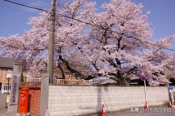 又到群马，这次不谈秋名山和巴西小镇，谈个日元“新先生”