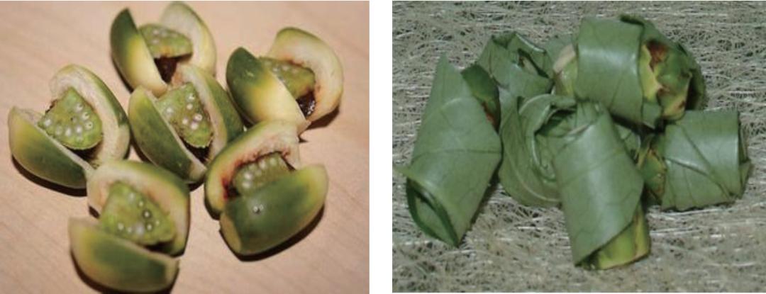 吃槟榔口腔纤维化会自愈吗,吃槟榔口腔烂了怎么好得快