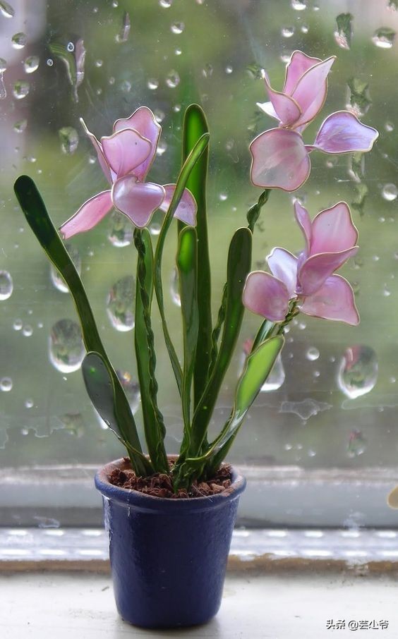 不要的指甲油可以干什么,可以保留很久的指甲油