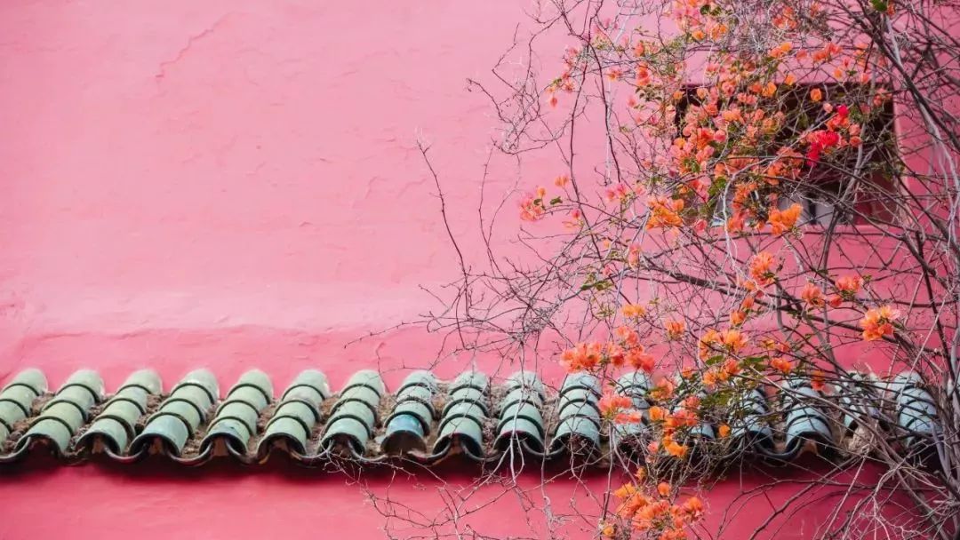 珍藏:《礼记》不学礼,无以立!