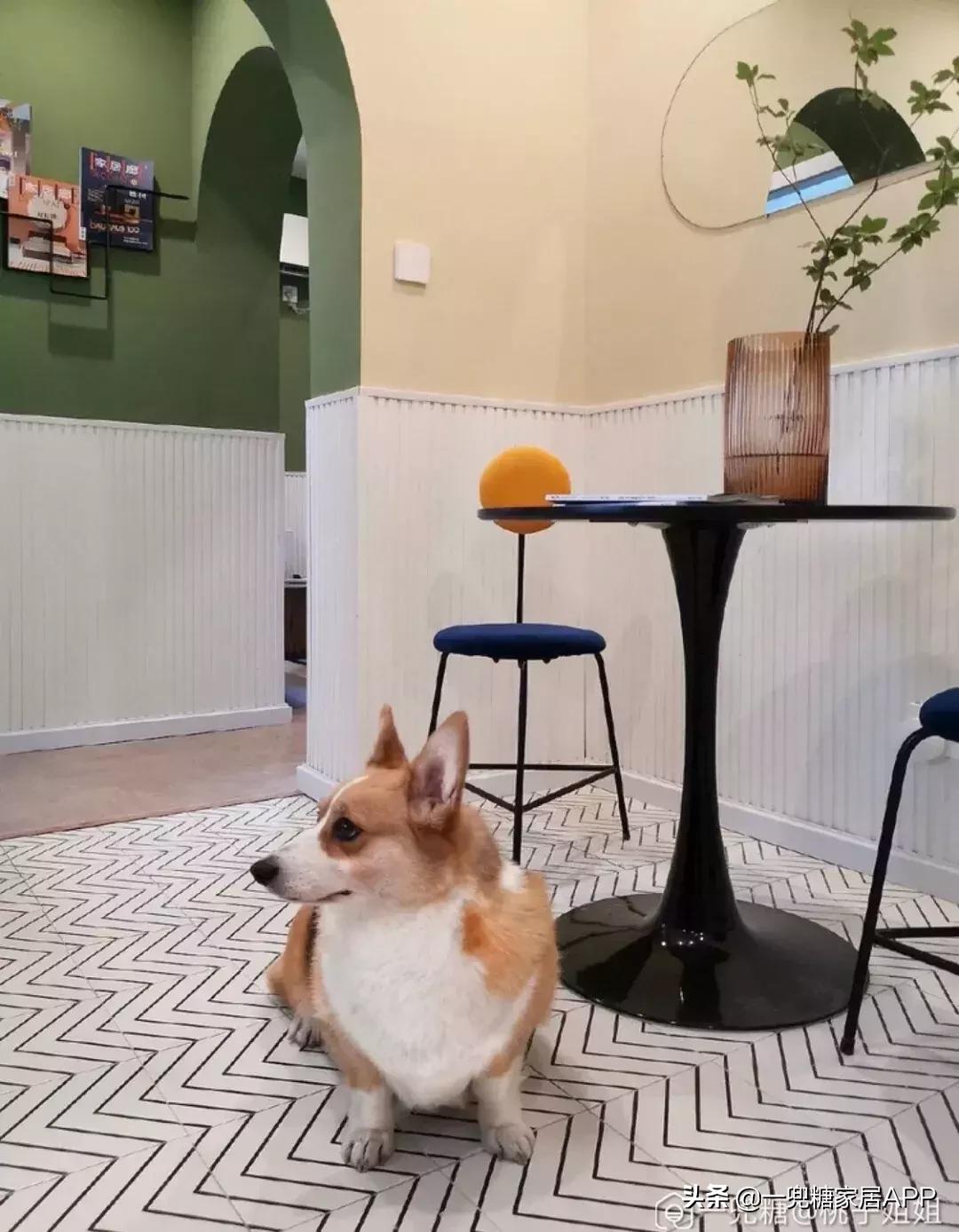 潮流色高级色,好看的高级色推荐