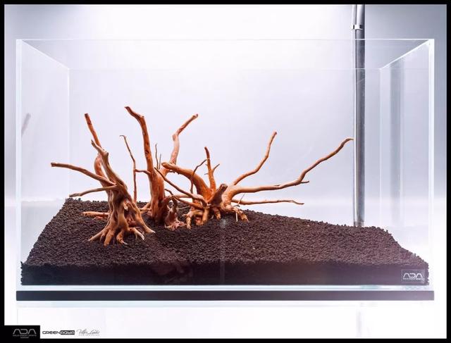 ada风格造景用什么底砂,鱼缸造景ada风格