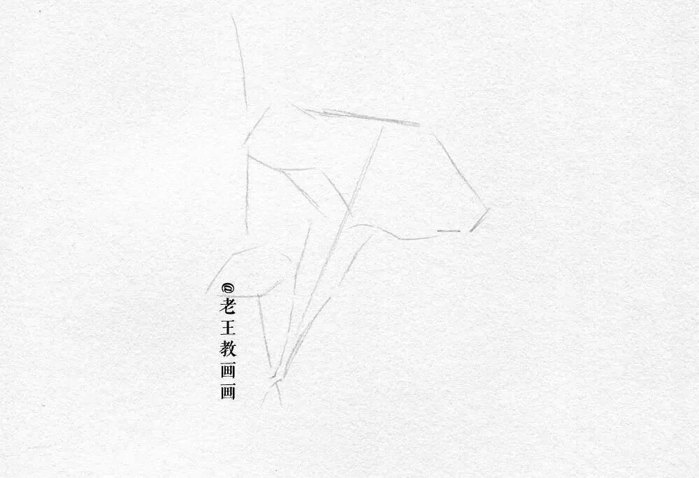 小白学习素描需要准备什么,小白学素描入门教程