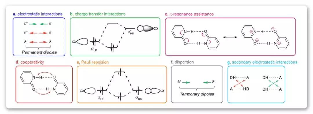 受体配体互作,典型受体配体有哪些类型
