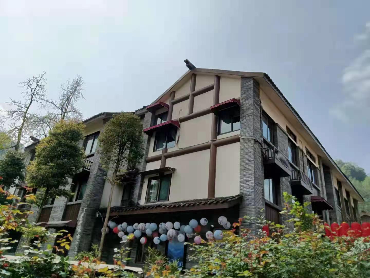 农村创业种植折耳根,折耳根板蓝根