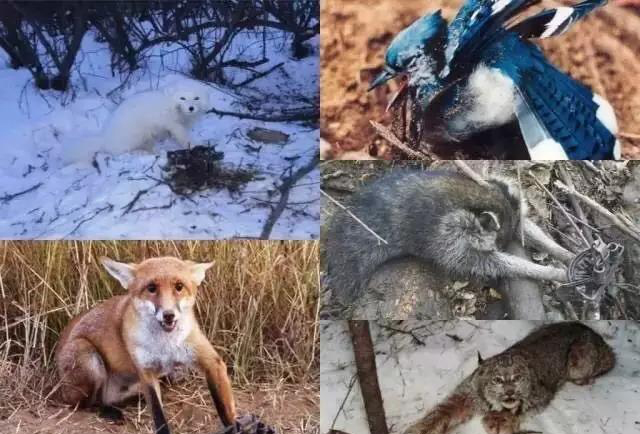 这样的时尚一般人根本读不懂 (你最需要的就是这样的时尚)