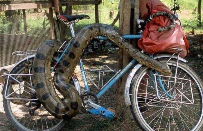 最倒霉的100个瞬间视频,35个最倒霉的瞬间