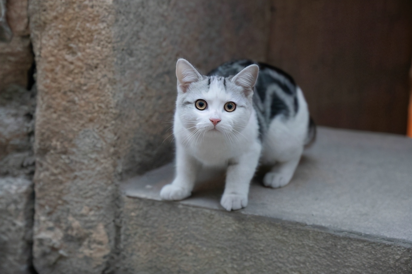 福州7日游的最佳攻略,福州一日游最佳方案旅游攻略