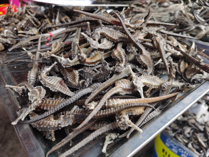 三亚金鸡岭农贸市场位置,三亚天涯海角农贸市场