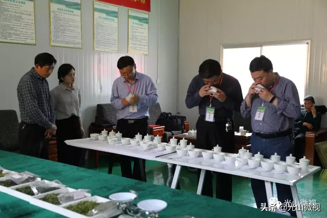 光山斗茶大赛完整版,信阳斗茶大赛获奖