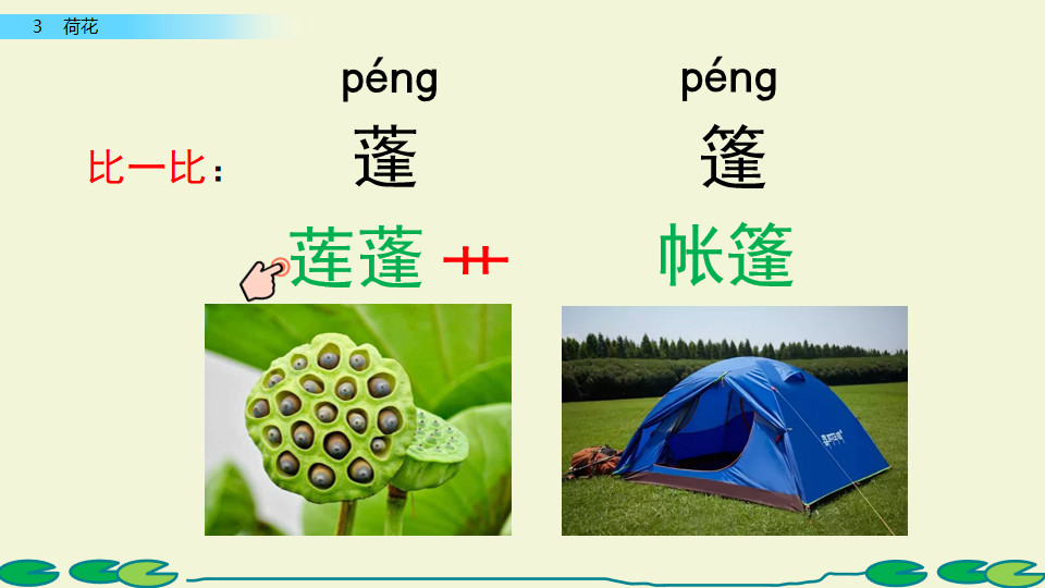 三年级下册语文荷花小练笔200字,三年级下册语文3课荷花课文讲解