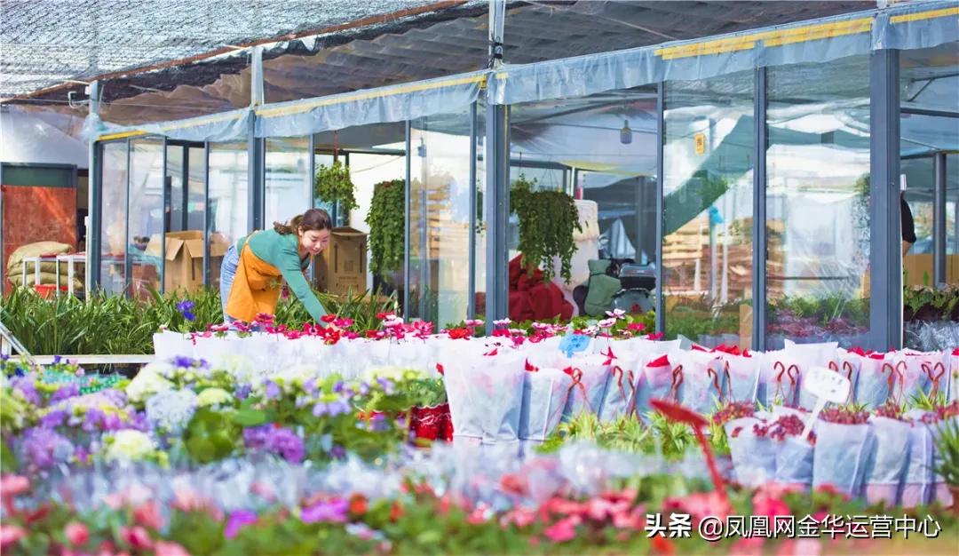 金华新狮街道花木之窗,婺城花木之窗