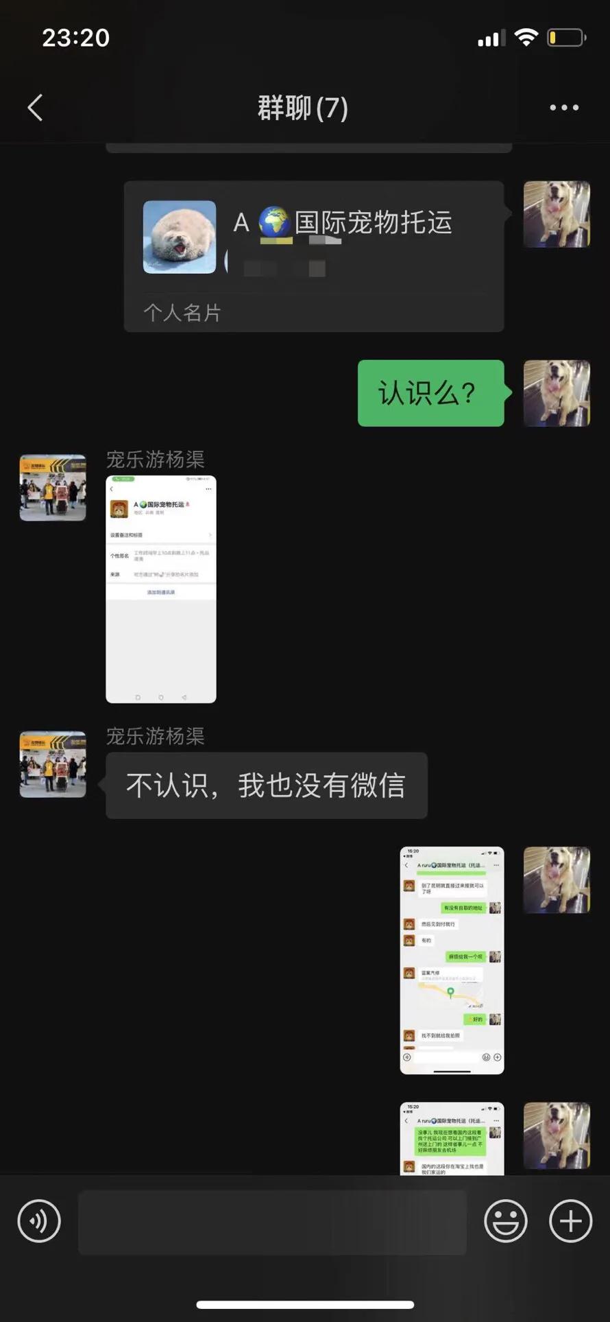 金毛siri被无良商家托运真实视频,金毛被主人丢弃了真是太可怜了