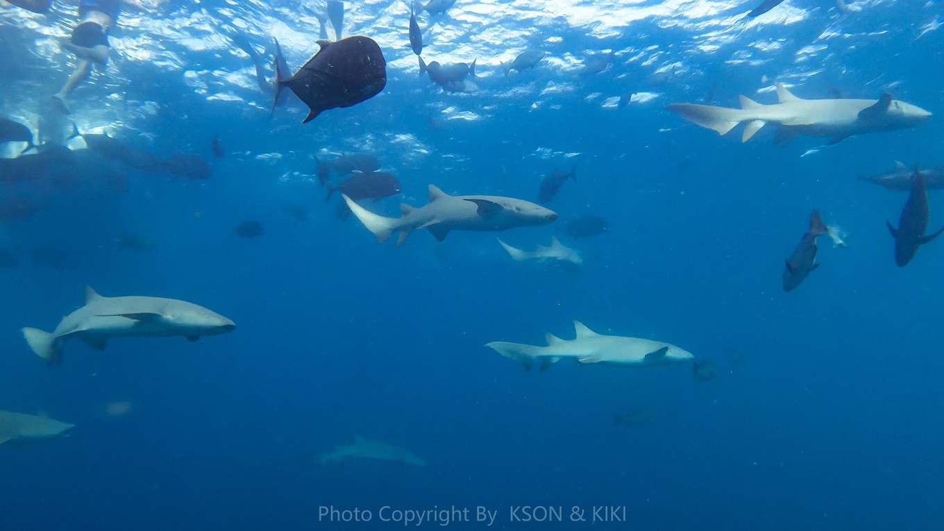 马尔代夫马富施居民岛,马尔代夫居民岛游玩攻略