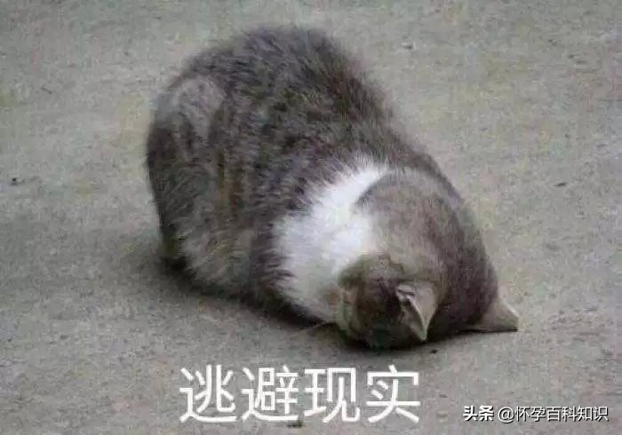 一到傍晚奶就少怎么办,一到晚上奶就不够吃怎么办