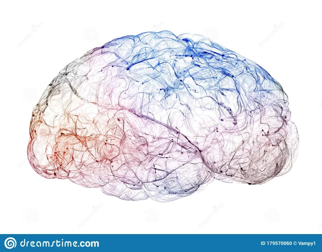 呃！人睡着后，会变冷血动物？睡觉会让大脑缩小20%？