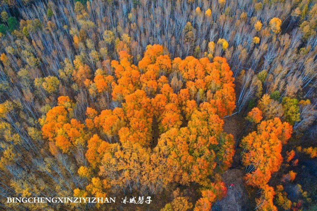 深秋的大兴安岭色彩斑斓,大兴安岭的秋天美景