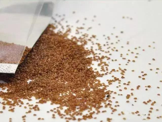 家居养花骗局有哪些案例,水池养鱼骗局揭秘视频