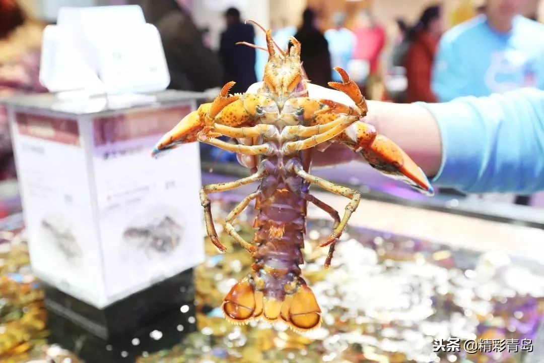 青岛盒马鲜生卓越皇后道店,青岛跑盒马鲜生怎么样