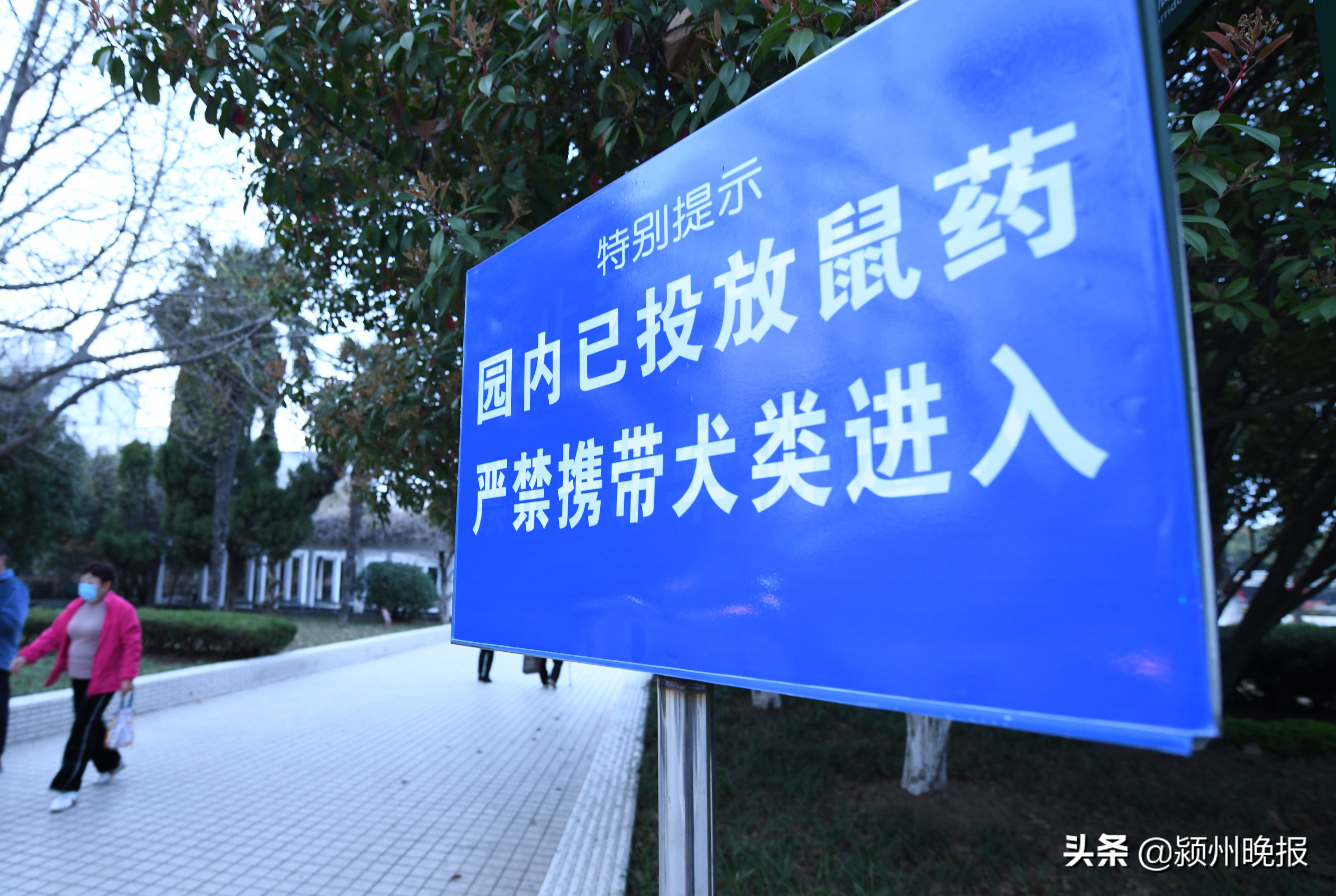 阜阳禁养烈性犬品种名录,阜阳禁止养犬的地方