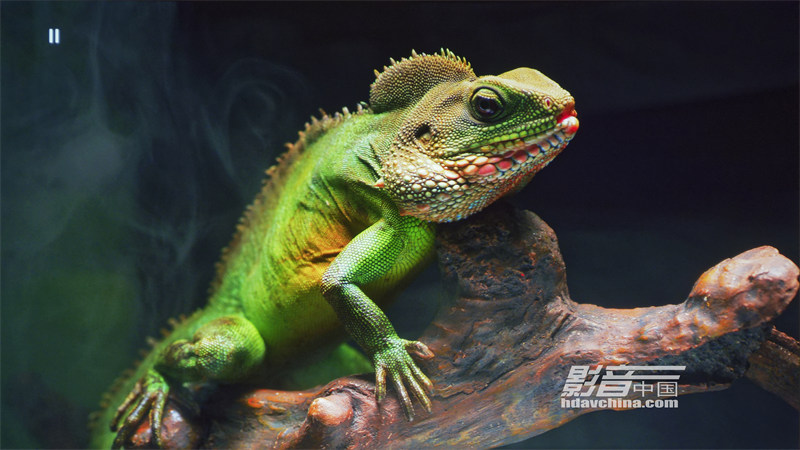 ViewSonic（优派）TX5000K：客厅百寸大屏市场的有力竞争者，拥有抢眼色彩的LED超短焦投影新贵