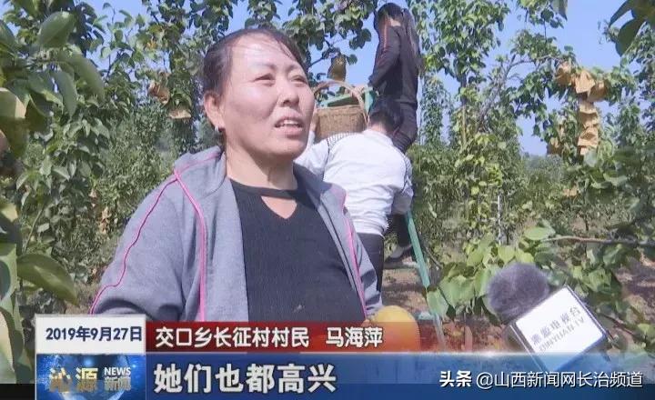 「绿色沁源」交口乡长征村：晚秋黄梨种植开启“黄金之路”