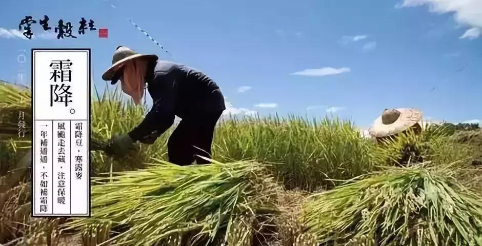 开眼界农业,开眼界学到知识