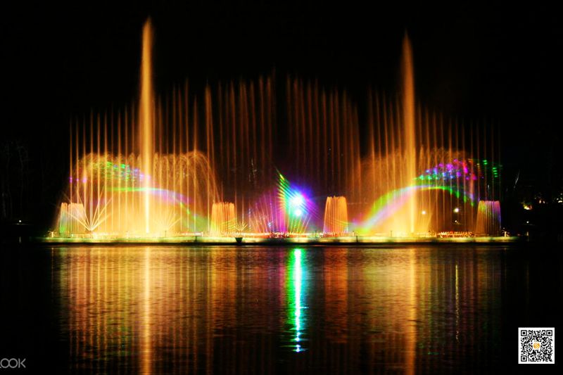 清迈夜间动物园珍稀动物魅力无限,清迈动物园参观